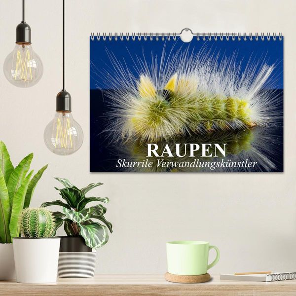 Produktbild: Raupen - Skurrile Verwandlungsk&uuml;nstler (Wandkalender 2026 DIN A4 quer), CALVENDO Monatskalender