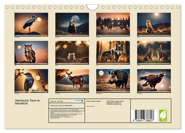 Produktbild: Heimische Tiere im Mondlicht (Wandkalender 2026 DIN A4 quer), CALVENDO Monatskalender