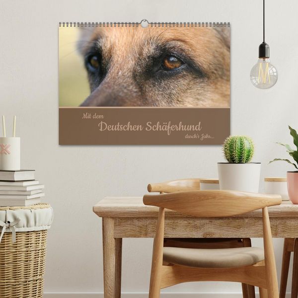 Produktbild: Mit dem Deutschen Sch&auml;ferhund durch's Jahr (Wandkalender 2026 DIN A3 quer), CALVENDO Monatskalender