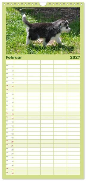 Produktbild: Familienplaner 2027 - Husky Welpen mit 5 Spalten (Wandkalender, 21 x 45 cm) CALVENDO