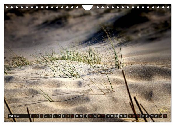Produktbild: Nordsee-D&uuml;nen (Wandkalender 2026 DIN A4 quer), CALVENDO Monatskalender