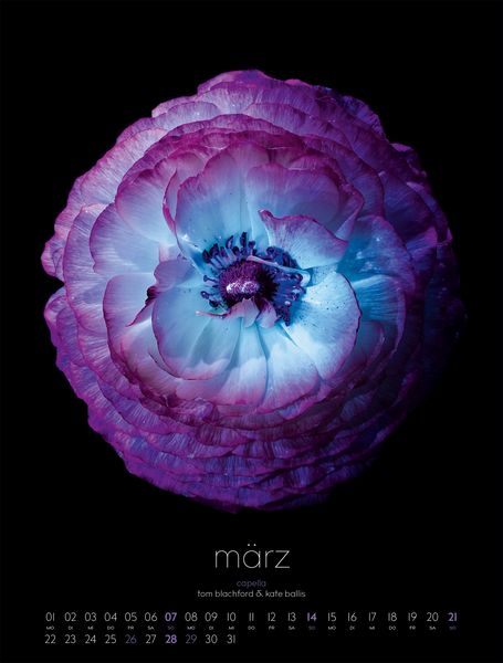 Produktbild: in bloom Kalender 2027