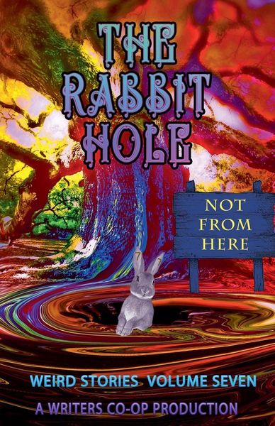 Produktbild: The Rabbit Hole VII