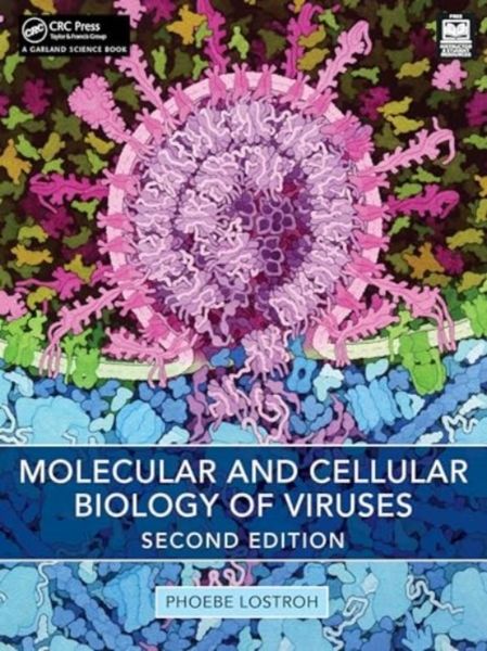 Produktbild: Lostroh, P: Molecular and Cellular Biology of Viruses