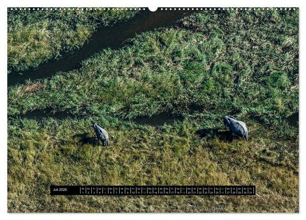 Produktbild: Afrikas Tierwelt - Wilde Elefanten (Wandkalender 2026 DIN A2 quer), CALVENDO Monatskalender