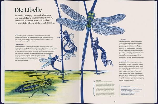 Produktbild: Verwandelt