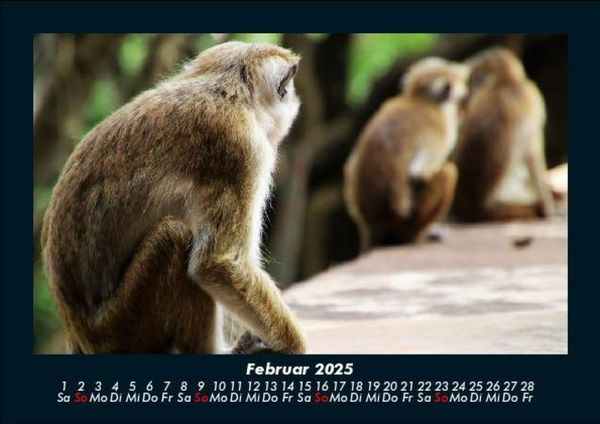 Produktbild: Welt der Tiere 2025 Fotokalender DIN A5