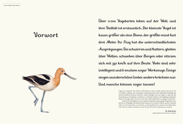 Produktbild: Das Museum der V&ouml;gel