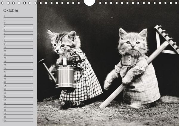 Produktbild: Katzen und Hunde - Nostalgie auf Pfoten (Wandkalender immerw&auml;hrend DIN A4 quer)