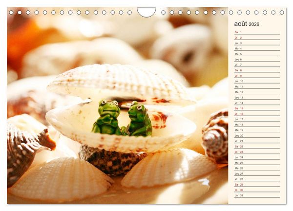 Produktbild: Coquillages, pierres et sable (Calendrier mural 2026 DIN A4 vertical), CALVENDO calendrier mensuel