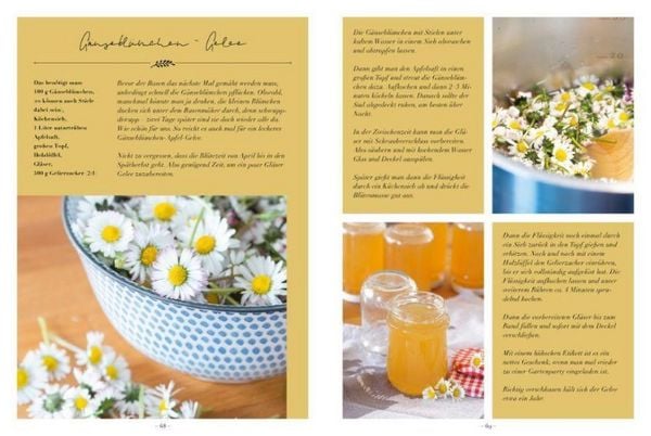 Produktbild: Inspirationen f&uuml;r den Garten