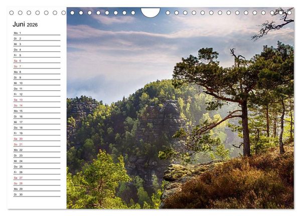 Produktbild: S&auml;chsische Schweiz &ndash; Impressionen (Wandkalender 2026 DIN A4 quer), CALVENDO Monatskalender