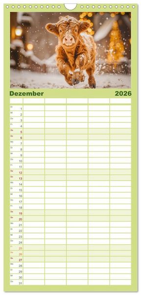 Produktbild: Familienplaner 2026 - Schottische Hochland Rinder mit 5 Spalten (Wandkalender, 21 x 45 cm) CALVENDO