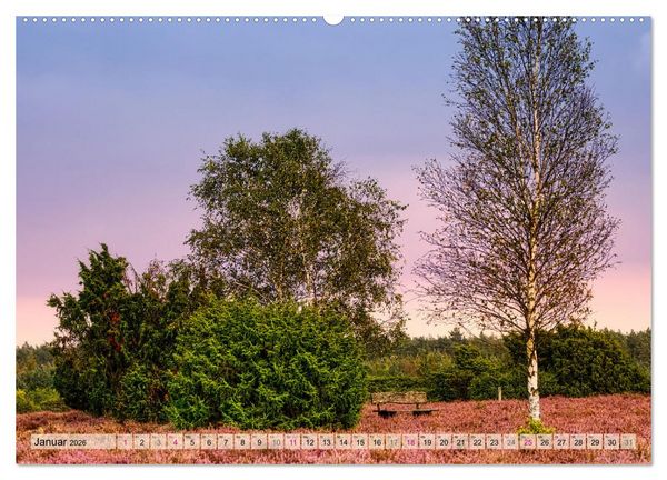 Produktbild: L&uuml;neburger S&uuml;dheide (Wandkalender 2026 DIN A2 quer), CALVENDO Monatskalender