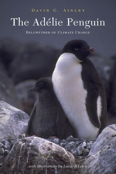 Produktbild: The Ad&eacute;lie Penguin
