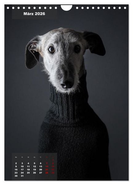 Produktbild: UNDERDOG - Windhundportraits (Wandkalender 2026 DIN A4 hoch), CALVENDO Monatskalender