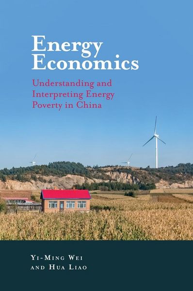 Produktbild: Energy Economics