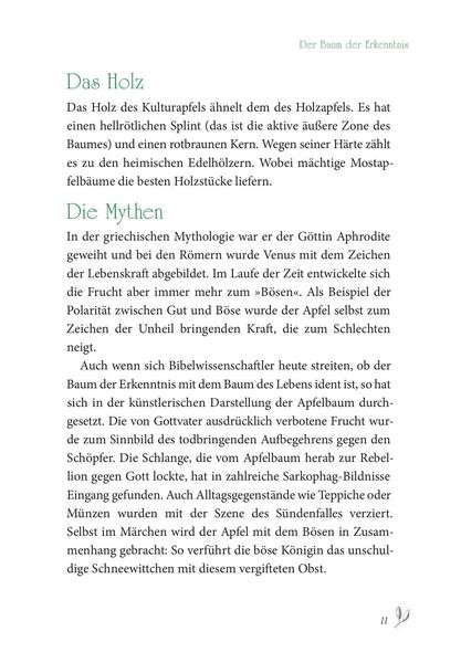 Produktbild: Baumhoroskop der Kelten
