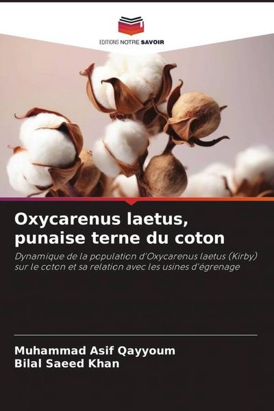 Produktbild: Oxycarenus laetus, punaise terne du coton