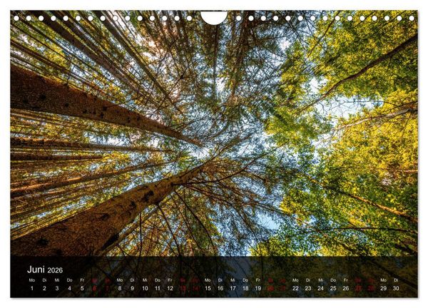 Produktbild: Wundervolle Naturlandschaften (Wandkalender 2026 DIN A4 quer), CALVENDO Monatskalender