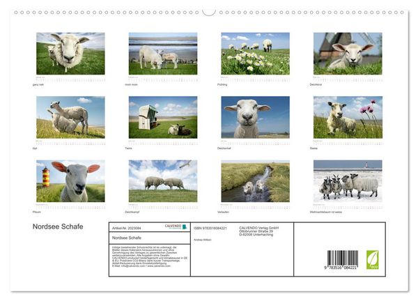 Produktbild: Nordsee Schafe (hochwertiger Premium Wandkalender 2026 DIN A2 quer), Kunstdruck in Hochglanz