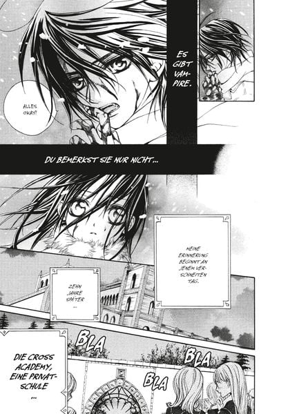 Produktbild: Vampire Knight Pearls 1