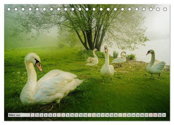 Produktbild: Bielefeld - Der Obersee - unendliche Motive... (Tischkalender 2026 DIN A5 quer), CALVENDO Monatskalender