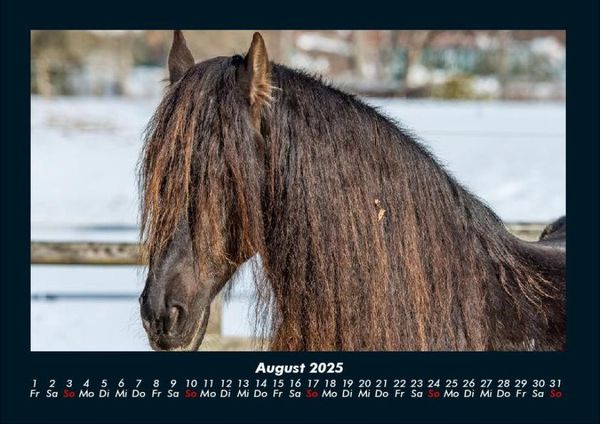 Produktbild: Die Welt der Pferde 2025 Fotokalender DIN A4