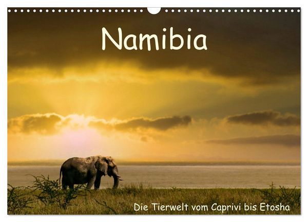 Namibia – Die Tierwelt vom Caprivi bis Etosha (Wandkalender 2026 DIN A3 quer), CALVENDO Monatskalender