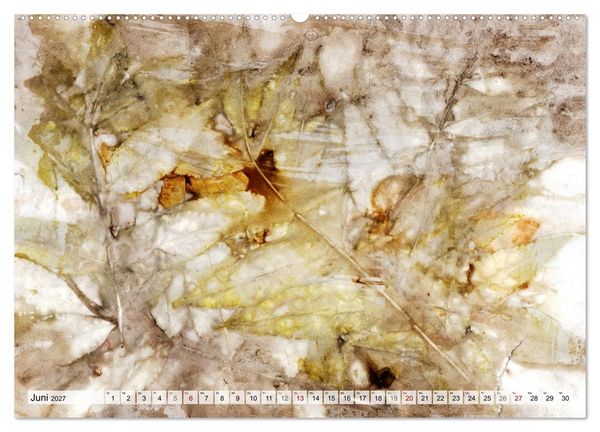 Produktbild: Botanical Printing - Magische Pflanzendrucke (hochwertiger Premium Wandkalender 2027 DIN A2 quer), Kunstdruck in Hochglanz