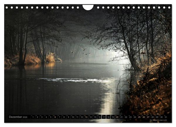 Produktbild: Traumlandschaften 2026 (Wandkalender 2026 DIN A4 quer), CALVENDO Monatskalender
