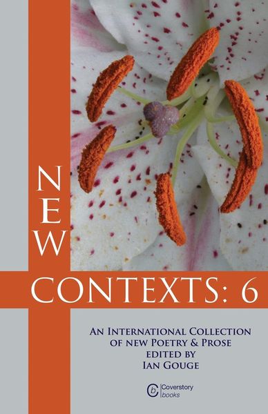 Produktbild: New Contexts