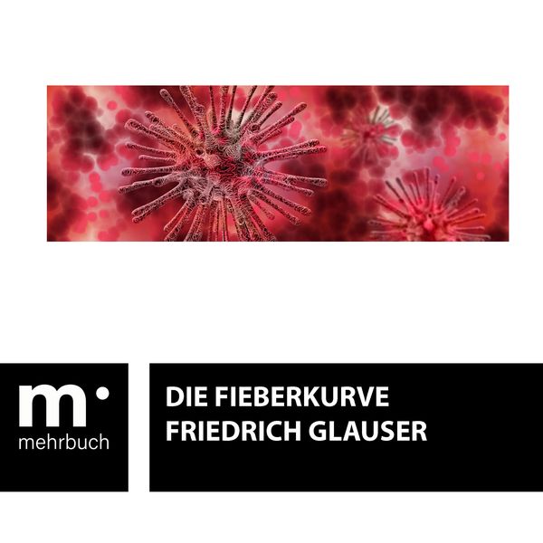 Produktbild: Die Fieberkurve