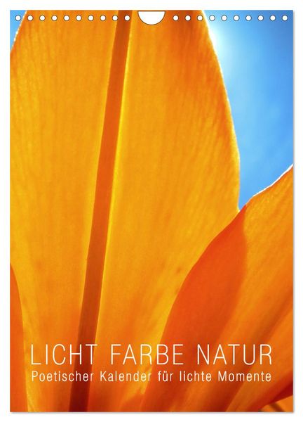 Licht Farbe Natur (Wandkalender 2026 DIN A4 hoch), CALVENDO Monatskalender