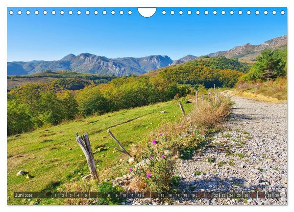 Produktbild: TransApuseni - Sch&ouml;nste Panoramastra&szlig;e in Siebenb&uuml;rgen (Wandkalender 2026 DIN A4 quer), CALVENDO Monatskalender