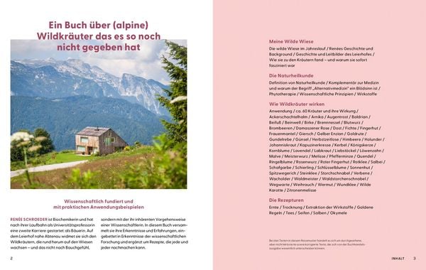 Wie Wildkräuter wirken