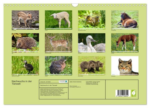 Produktbild: Nachwuchs in der Tierwelt (Wandkalender 2026 DIN A3 quer), CALVENDO Monatskalender