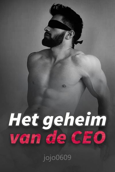 Produktbild: Het geheim van de CEO