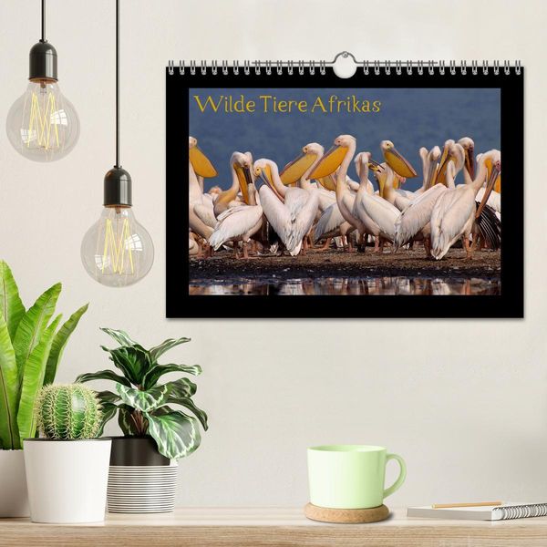 Produktbild: Wilde Tiere Afrikas (Wandkalender 2026 DIN A4 quer), CALVENDO Monatskalender
