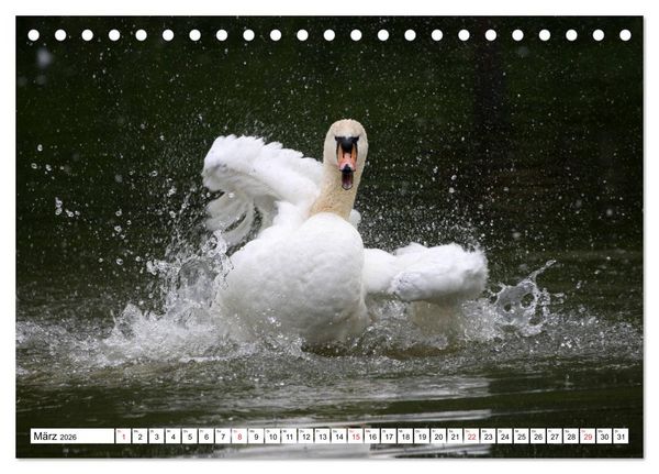 Produktbild: Heimische Tiere (Tischkalender 2026 DIN A5 quer), CALVENDO Monatskalender