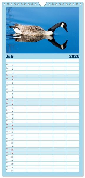 Produktbild: Familienplaner 2026 - Gr&uuml;&szlig;e von Pellworm mit 5 Spalten (Wandkalender, 21 x 45 cm) CALVENDO