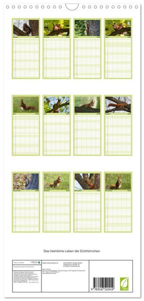 Produktbild: Familienplaner 2026 - Das heimliche Leben der Eichh&ouml;rnchen mit 5 Spalten (Wandkalender, 21 x 45 cm) CALVENDO