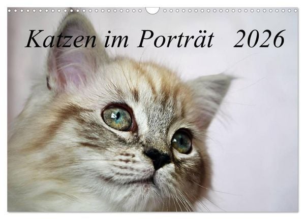 Produktbild: Katzen im Portr&auml;t / Geburtstagskalender (Wandkalender 2026 DIN A3 quer), CALVENDO Monatskalender
