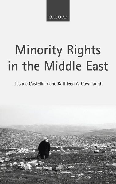 Produktbild: Minority Rights in Middle East C