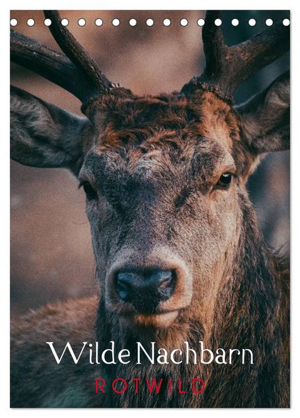Produktbild: Wilde Nachbarn: Rotwild (Tischkalender 2026 DIN A5 hoch), CALVENDO Monatskalender