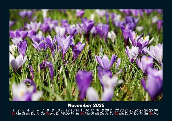 Produktbild: Blumenkalender 2026 Fotokalender DIN A5