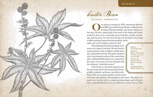 Produktbild: Wicked Plants