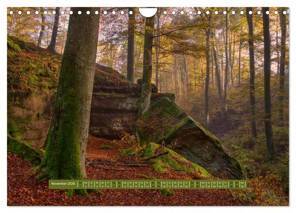 Produktbild: Magischer Pf&auml;lzer Wald (Wandkalender 2026 DIN A4 quer), CALVENDO Monatskalender
