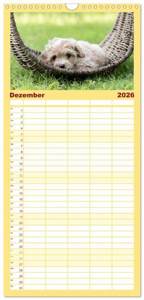 Produktbild: Familienplaner 2026 - Maltipoo Welpen mit 5 Spalten (Wandkalender, 21 x 45 cm) CALVENDO
