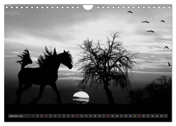 Produktbild: Sonne und Mond - faszinierend und anziehend (Wandkalender 2026 DIN A4 quer), CALVENDO Monatskalender